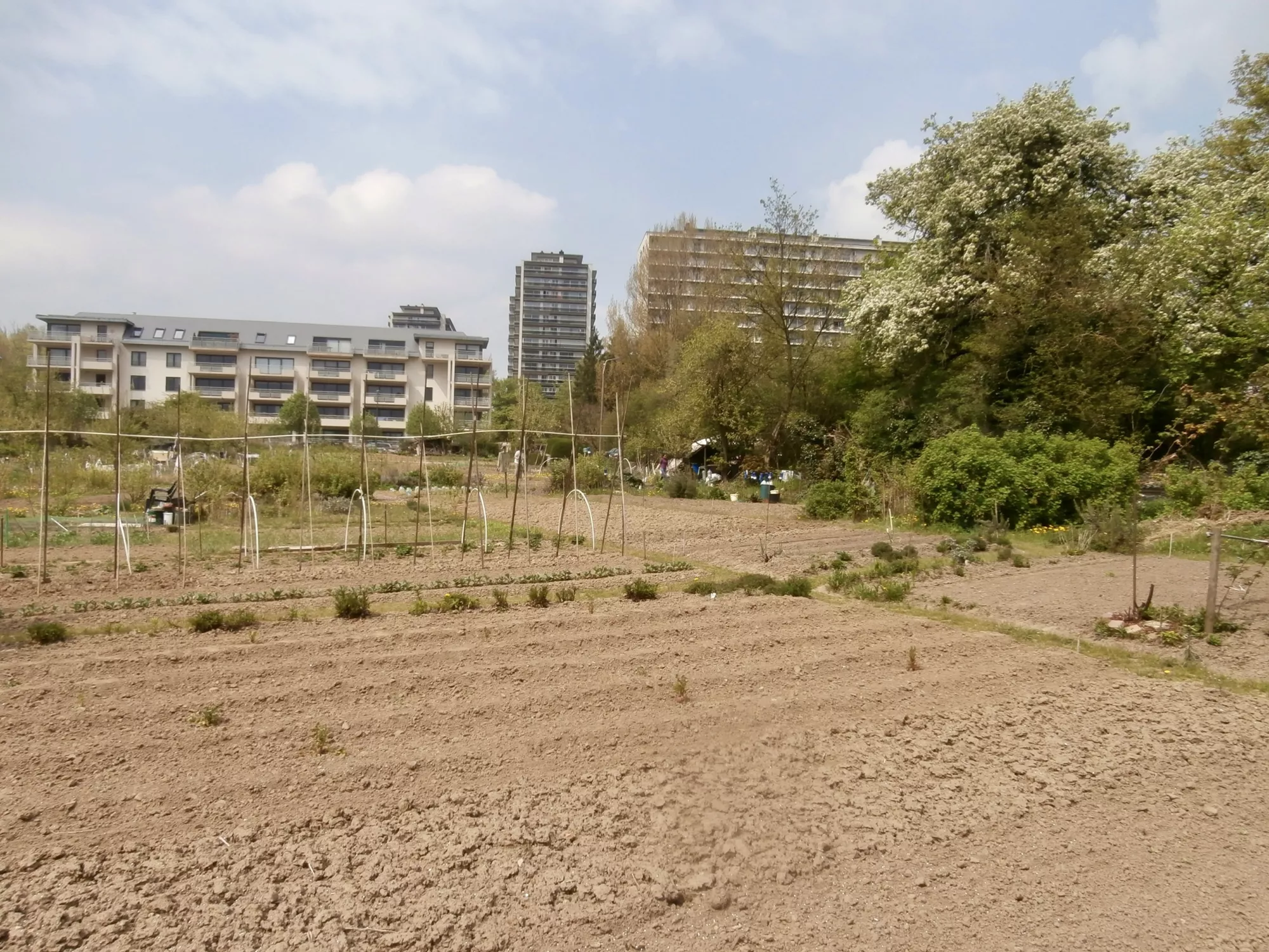 Photo des potagers de Haren