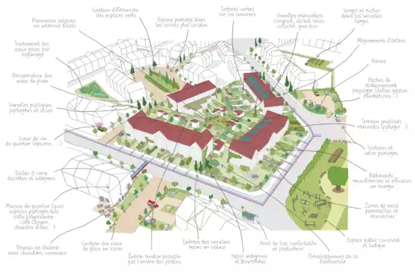 Proposition Cites Jardins Facilitateur Quartier Durable